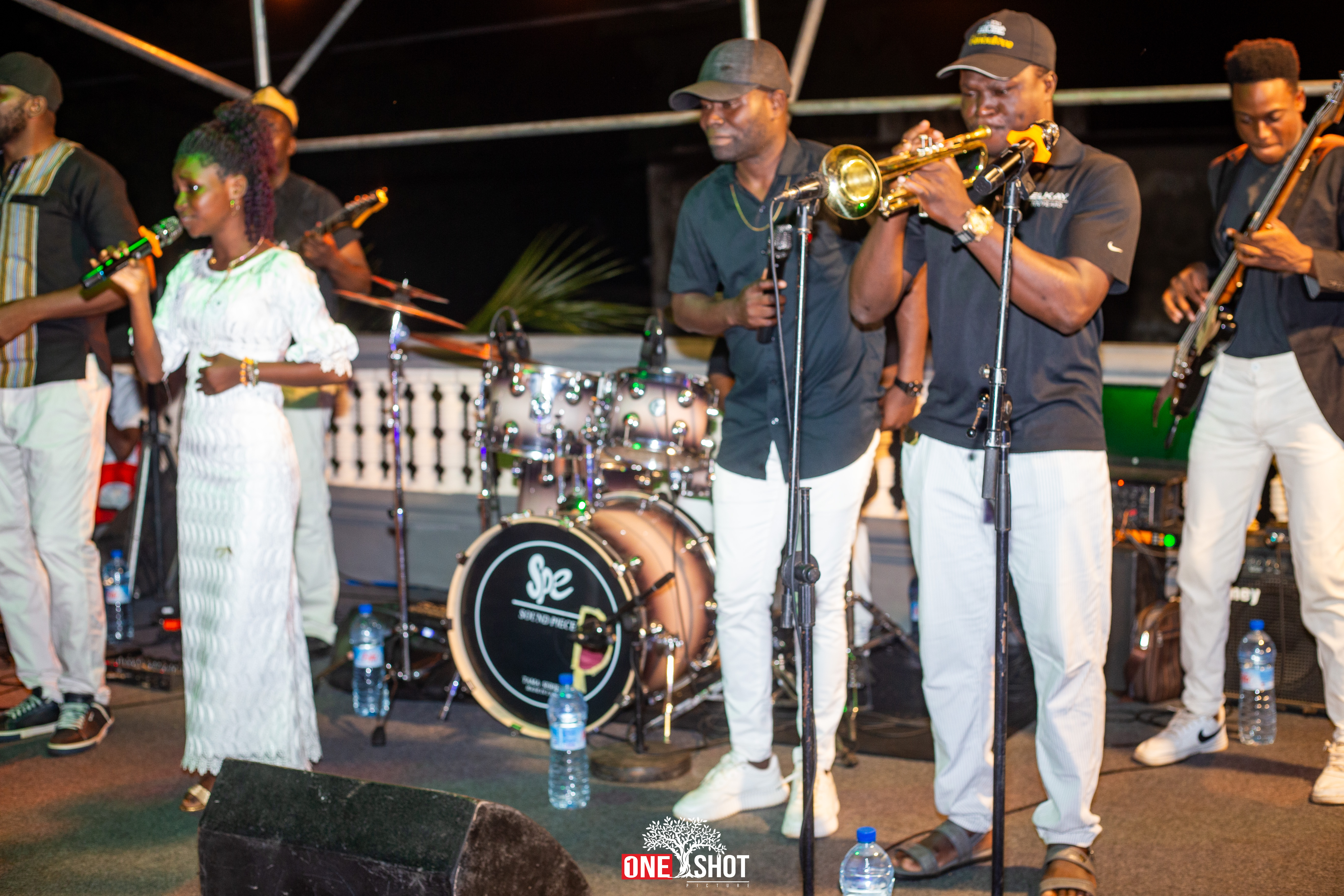 L'Art de la Présentation Culinaire